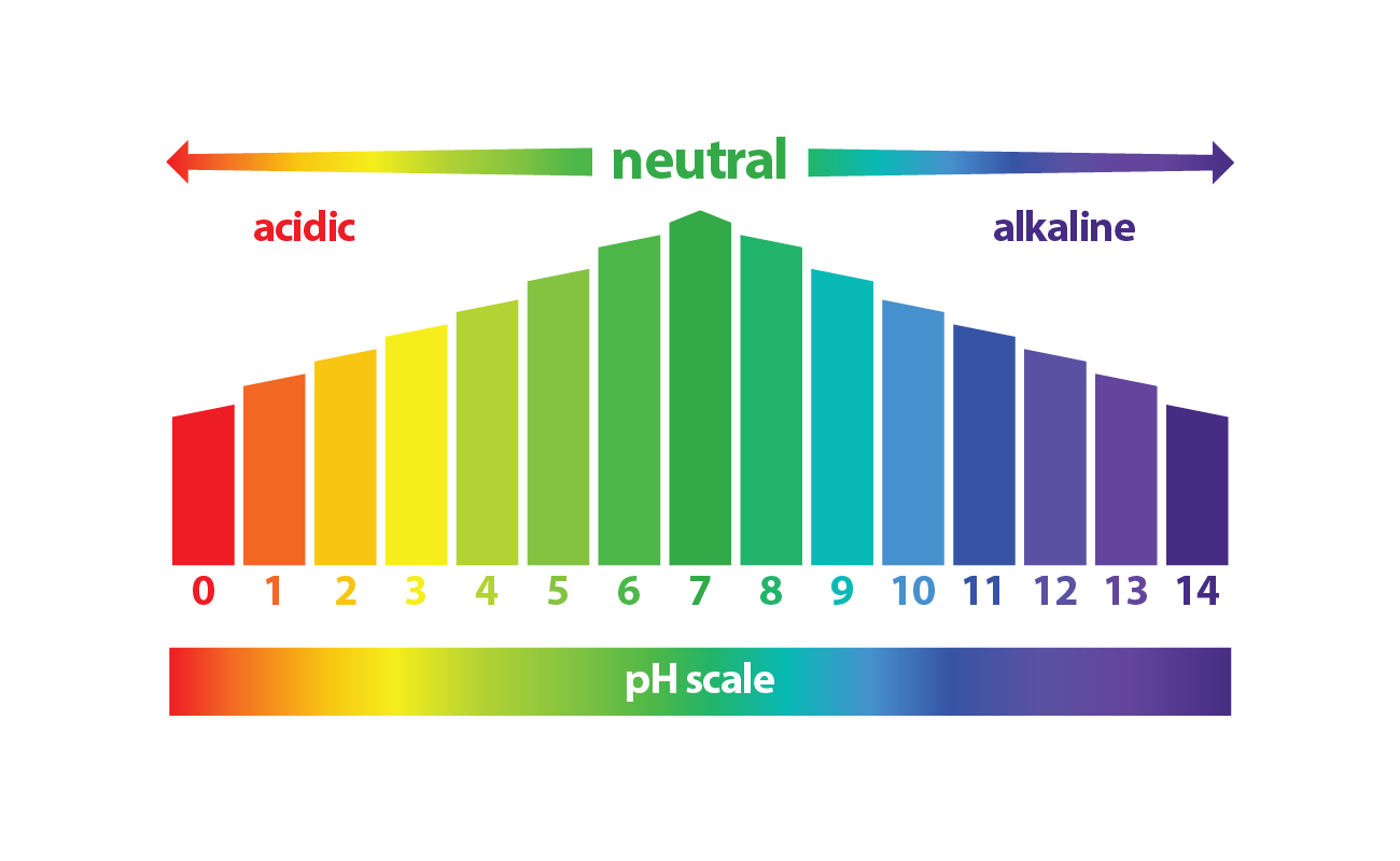 Ph Scale