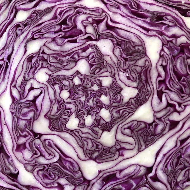 Purple Cabbage